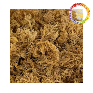 Musgo Marino Seco Silvestre para la Elaboración de Gel, Ingrediente Alimentario Saludable, Proveedor Mayorista - Product Image 3