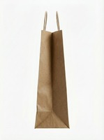 Sacs en papier kraft brun PureEarth avec poignées torsadées, solutions d'emballage de détail en papier recyclé