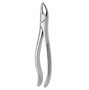 Forceps d'extraction dentaire en acier inoxydable avec poignée moletée, instrument chirurgical manuel de classe I - Product Image 4
