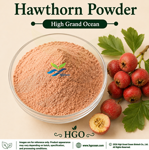 Suministro Directo de Fábrica HGO de Polvo de Espino Blanco Puro y Natural (Grado Alimenticio), Polvo de Fruta Secado por Aspersión o Liofilizado - Product Image 1