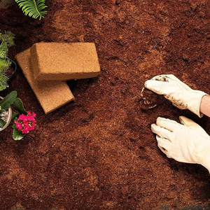 Low EC Coco Peat <b>Block</b> Eco Friendly Compressed Coconut <b>Coir</b> Growing Medium for Plant Growing Soil Improvement and Animal Bedding - Product Image 6
