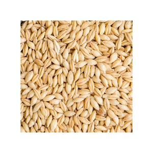 Aliments pour animaux naturels et biologiques de première qualité en gros, orge en sac de 50 kg en provenance des Pays-Bas avec une durée de conservation de 2 ans - Product Image 4