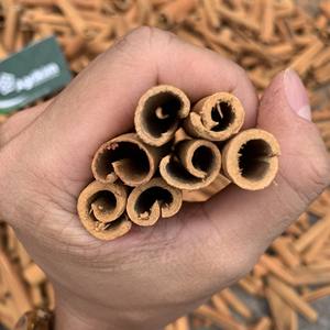 ซินนามอนม้วนยาว8ซม. เกรดเยี่ยมหวานรสเผ็ดหรือตกแต่ง WS + 84 865216698 - Product Image 5