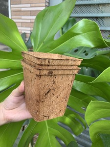 Eco2go Pots vietnamiens en fibre de coco de haute qualité Pots de fleurs en coco pour le jardin et la maison fabriqués au Vietnam - Product Image 6