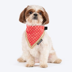 Pañuelo para Perro con Logotipo Personalizado al por Mayor, Diseño de Calabaza para Halloween, Bufanda para Mascotas Pequeñas y Medianas, Patrón de Calavera para Adultos, Ideal para Fiestas - Product Image 6