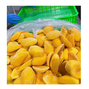 Fournisseur fiable de mangues congelées au Vietnam pour les importateurs alimentaires et les usines de transformation - Product Image 5
