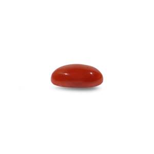 Natural Japanese Red Coral Loose Gemstone-6 Carat Certified Wholesale Lot-Rough Brilliant Cut - Product Image 3