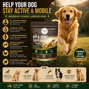 Friandises à mâcher pour la santé des articulations des chiens OEM ODM : Glucosamine, Chondroïtine, MSM – Soutien à la mobilité des hanches, friandises riches en protéines pour chiens seniors - Product Image 6