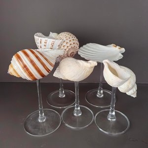 Vasos de cóctel con conchas marinas para decoración de bodas, buen precio, para eventos y fiestas. - Product Image 6