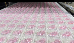 Producteur de dosettes de détergent à lessive OEM | Approvisionnement direct d'usine avec formule personnalisée et options d'étiquetage - Product Image 6