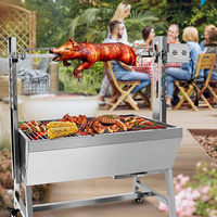 Barbecue rotatif, rôtissoire, machine à griller, rôtissoire à broche pour fête en plein air