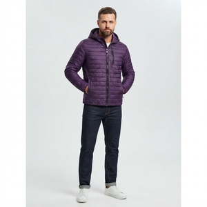 Wholesale Men's Custom Jacket Hooded <b>Waterproof</b> Fleece Winter <b>Coat</b> Lightweight <b>Padded</b> Outdoor Travel Warm Casual Outerwear - Product Image 4