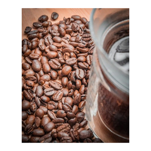 Compra/Ordena en Línea Granos de Café Robusta Orgánico de Alta Calidad, Verdes y Tostados, al Mejor Precio para Exportación - Product Image 4