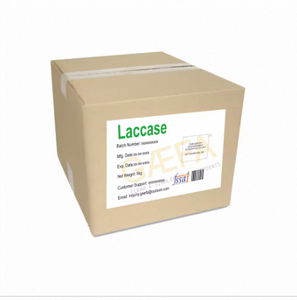 Enzima Laccasa Gaefa de la Mejor Calidad, 2000-50000 U/g en Polvo, Grado Alimenticio para Repostería y Bebidas - Product Image 3