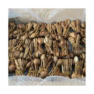 Cuillères en bois de qualité supérieure 2026 de qualité alimentaire pour dégustation de produits biologiques, en bois pur, propres, sûres, certifiées, équipement professionnel en bois - Product Image 3