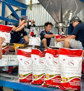 Riz au parfum à grain extra long disponible en sacs de 5 kg, 10 kg et 20kg du Vietnam au vendeur mondial - Product Image 5