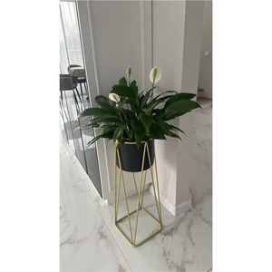 Wholesale Modern Luxury Metal Floor Standing Planter <b>Pot</b> with <b>Tall</b> Gold Stand Set - Minimalist Indoor Flower <b>Plant</b> Holder Decor - Product Image 4