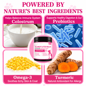 Masticables Naturales a Base de Hierbas para Alergias en Perros de Todas las Razas, Alivio del Picor, Cuidado de la Piel y el Pelaje, Refuerzo del Sistema Inmunitario, Golosinas Suaves, OEM, ODM, Marca Privada, Venta al Por Mayor - Product Image 3