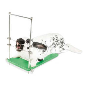 Abrebocas de Mesa para Roedores y Conejos, Ajustable, Reutilizable, Sostenible, Duradero, Instrumentos Veterinarios para Animales Pequeños - Product Image 5