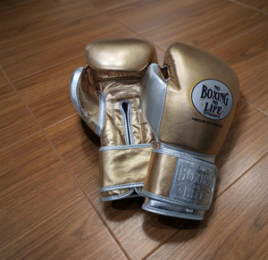 Gants de boxe professionnels No Boxing No Life en cuir de vachette de qualité supérieure, personnalisables, légers, avec sangle de poignet réglable et fermeture auto-agrippante - Product Image 4