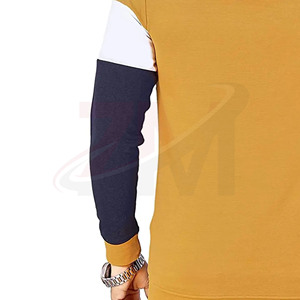 Sudaderas con capucha originales para hombre, de invierno, de 450 GSM, con tejido de algodón 100% de 320 GSM. - Product Image 5