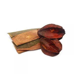 Extracto de planta de CO2 de alta calidad de grado alimenticio, extracción de fluido Súper Crítico, Arjuna Bark, forma de cera de hierbas, lata activa de vitamina - Product Image 4