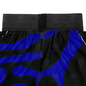 Nouveaux shorts de combat à la mode, shorts de boxe thaïlandais avec logo personnalisé, shorts en spandex et polyester double couche, shorts MMA pour enfants - Product Image 5