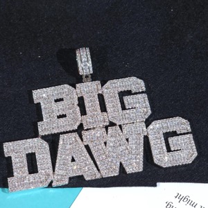 Big Dawg <b>Iced</b> <b>Out</b> Pendant Necklace Rhodium Plated 925 Silver Rope <b>Chain</b> Men's Hiphop Jewelry - Product Image 4