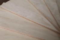 Plattformholz aus Vietnam: Eukalyptus-Mischholzplatte, Großhändler für LVD LVB Flachplatten, Beidseitig Geschliffen