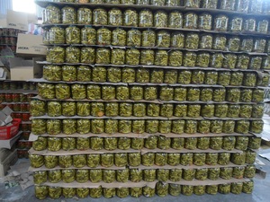 Pepino en escabeche OEM hecho a mano de granja orgánica Vietnam salmuera en escabeche fermentada a granel pepino en escabeche embalado en tambor - Product Image 3