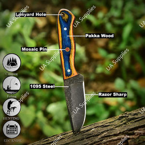 Cuchillo Profesional de Hoja Fija para Caza y Camping, EDC, de Alta Calidad, con Soporte OEM/ODM, Acero al Carbono, Mango de Madera Pakka, Funda de Cuero - Product Image 4