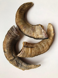 Juguete Masticable para Perros de Cuerno de Oveja y Carnero, Ecológico, de Gran Tamaño, Estilo Animal, Pulido, de la Mejor Calidad, Coleccionable, Hecho en India - Product Image 3