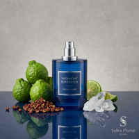 Parfum de Luxe pour Homme, Longue Durée, Fragrance Originale, 100ml, Spray Corporel Naturel, Marque Privée, Coffret Parfum Designer MIST