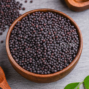 Graines de moutarde de qualité supérieure en vrac, qualité alimentaire, stock disponible, fournisseur d'exportation de confiance - Product Image 6