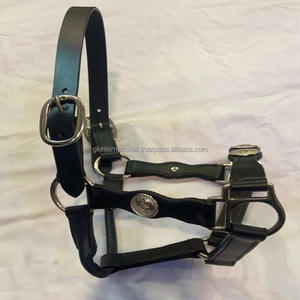 Licou de cheval réglable en cuir marron fait à la main, tailles personnalisées avec conjos argentés, équipement de cheval de créateur - Product Image 4