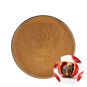 Poudre de Guarana en vrac, ingrédient énergétique naturel à base de plantes, riche en caféine, pour compléments alimentaires, aliments fonctionnels et boissons - Product Image 1
