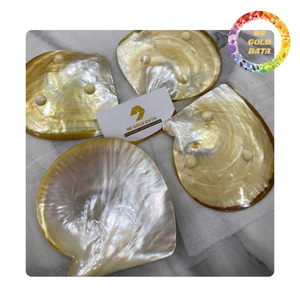Handmade Mother of Pearl Plate Polished Shell Plate for Luxury Home Decoration and Gift - Product Image 1