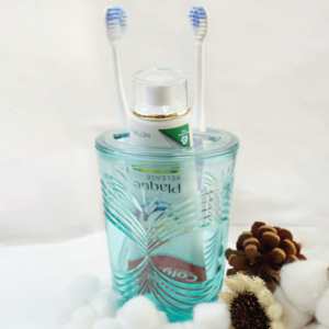 [Holar] Taiwan Made Green Durable Plastic Round 3 Slots Stripes Style Tooth Stand pour Toilette - Product Image 4