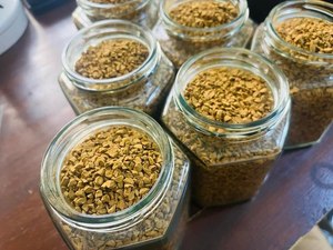 VIETNAM 1in1 Freeze-Dried Instant Coffee Powder 100% Robusta - Customizable For Coffee Brand - Free Design & Free Sample - Product Image 3