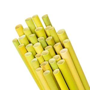 Eco2go Vietnam's Natural Organic PC Material Grass <b>Drinking</b> <b>Straws</b> Customized Logo Bar Accessories Box Packed - Product Image 1