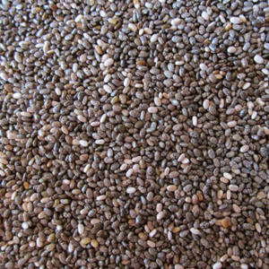 Graines de Chia en vrac, nettoyées et triées, sacs sous vide de 5 kg, graines noires minuscules à haut rendement, approvisionnement international en gros - Product Image 2