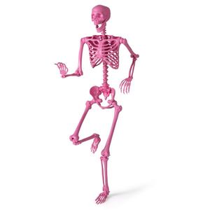 Squelette d'Halloween rose intégré de 5,5 pieds, ambiance ludique et effrayante pour fêtes/jardins, aucun assemblage nécessaire avec corde de suspension - Product Image 2