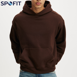Sweat-shirts à capuche d'hiver en molleton technique 100 % coton épais de haute qualité pour hommes, personnalisables avec logo, vente en gros 2026 - Product Image 1