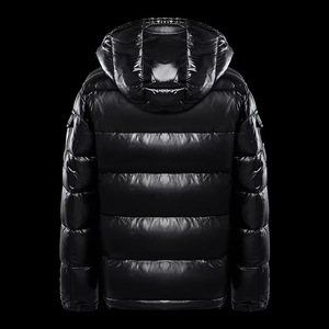 Veste matelassée d'hiver pour homme, pour sports de plein air, avec col montant, capuche, personnalisable, imperméable, respirante, coupe-vent, antibactérienne - Product Image 3