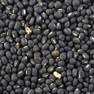 Lentilles noires Urad Dal, haricots noirs entiers, riches en protéines et en fibres, pour la cuisine quotidienne, Idli/Dosa & Vada, durée de conservation de 24 mois - Product Image 1