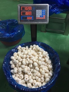 Lychees entiers surgelés IQF, emballage en vrac, qualité export, 10,20 kg, fruits surgelés - Mme Tarina - Product Image 1