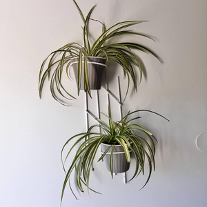 Support mural moderne en métal pour plantes à deux niveaux, porte-pots de fleurs, étagère verticale gain de place pour jardin intérieur/extérieur - Product Image 1