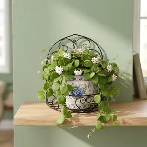 Support mural en métal pour plantes, support décoratif pour plantes suspendues, pour l'intérieur, l'extérieur, le jardin, le balcon, la terrasse, les étagères murales - Product Image 5