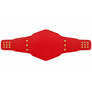 Cinturón de campeonato al por mayor, nuevo cinturón de campeonato mundial de peso pesado de la WWE, cinturón de título de lucha libre de 2 mm, 4 mm - Product Image 2