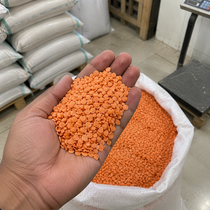 Proveedor de Alimentos Orgánicos que Ofrece Lentejas Orgánicas Secas en Empaque para Exportación con Aroma Fresco y Materias Primas Seleccionadas de Alta Calidad - Product Image 2